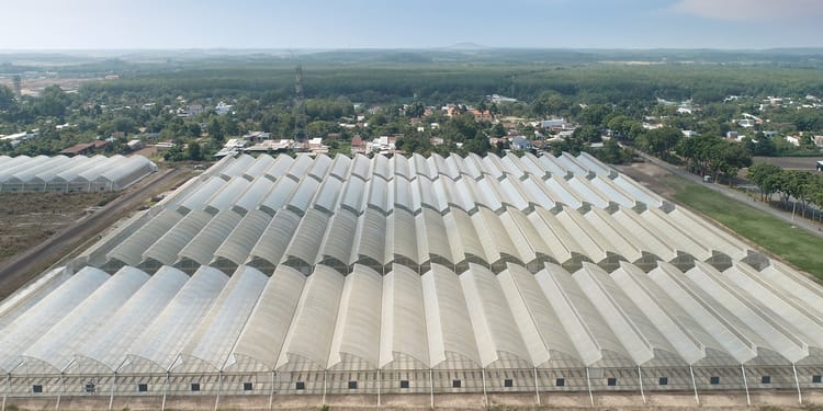Commercial greenhouse
