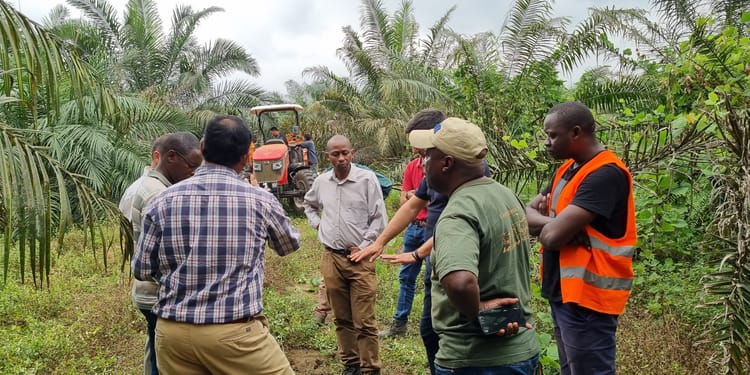 The world's largest oil palm project with precision irrigation