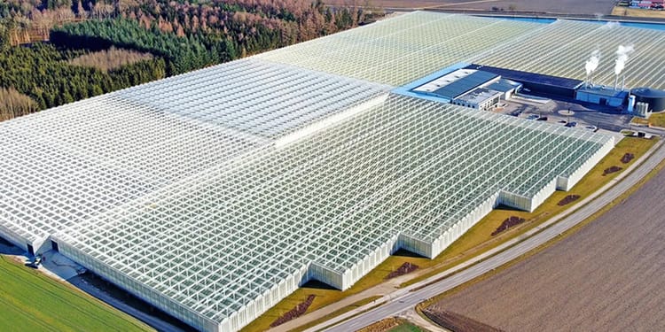 Commercial greenhouse