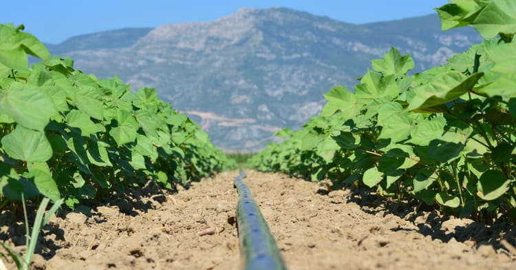 Fulfilling Regenerative Agriculture Through Precision Irrigation