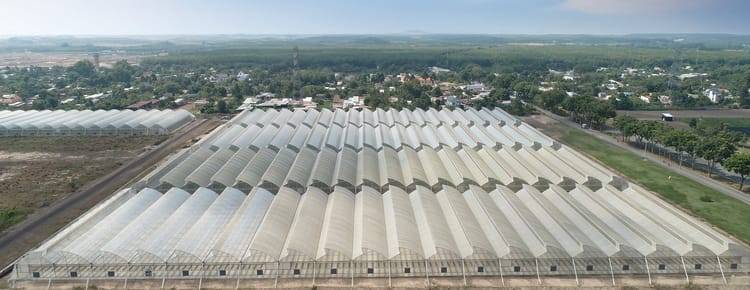 Commercial greenhouse