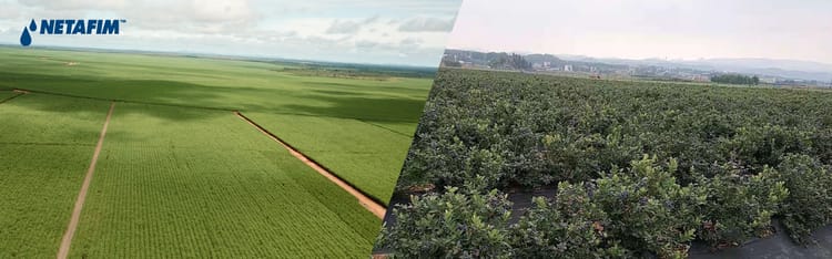 A worldwide track record from inception to completion