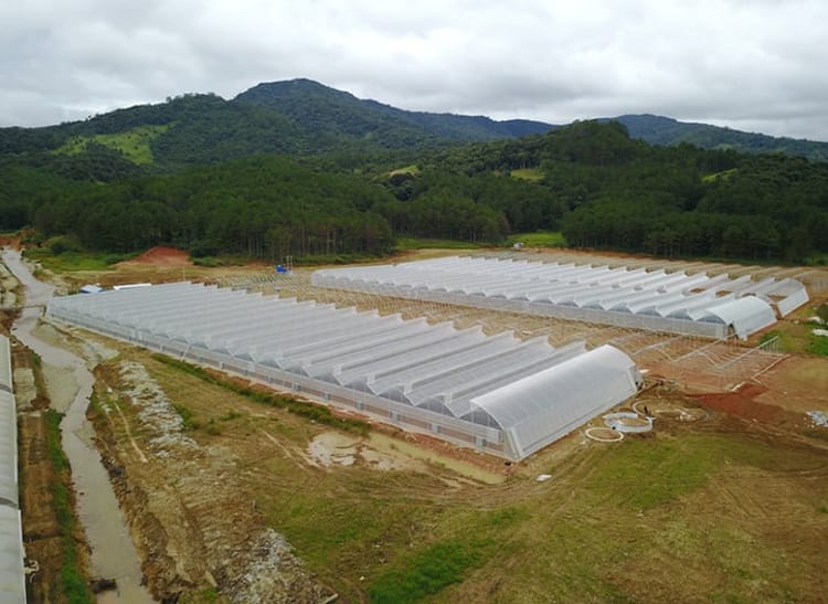 Aerial view of greenhouse in Vietnam