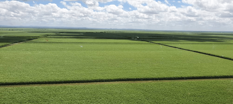 Partnering for Sustainability: Water-wise Sugarcane Farming for Ethanol Production