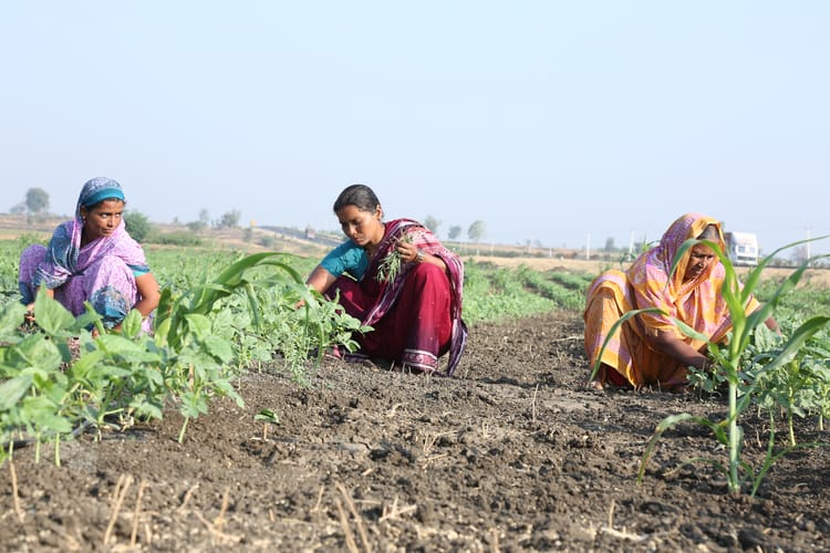 India-ramthal-women farmers-at-work