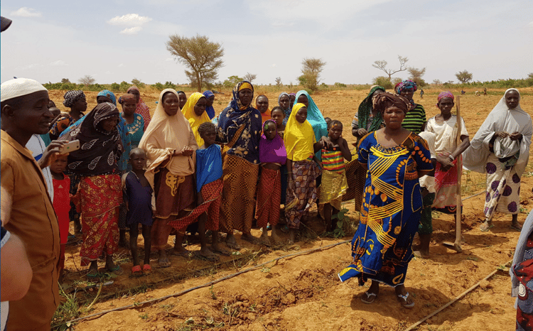 Niger Irrigation Project pictures 10