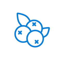 Drip irrigation and fertigation guidelines for Blueberries