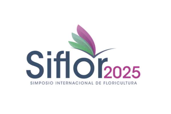 Siflor