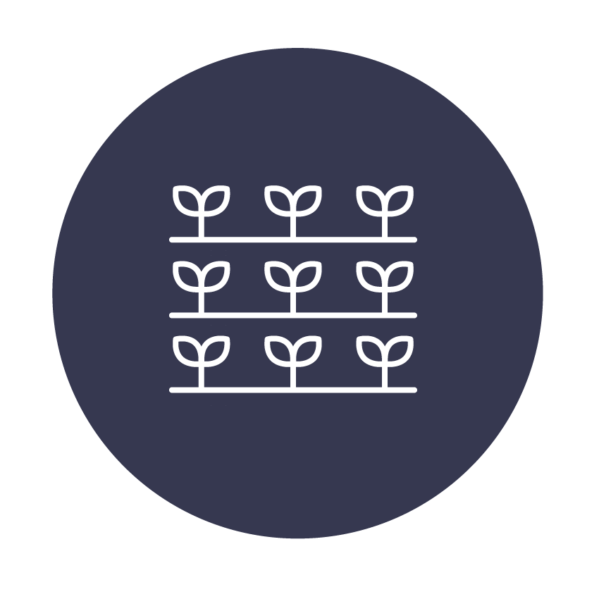 Enhance yield quantity and quality