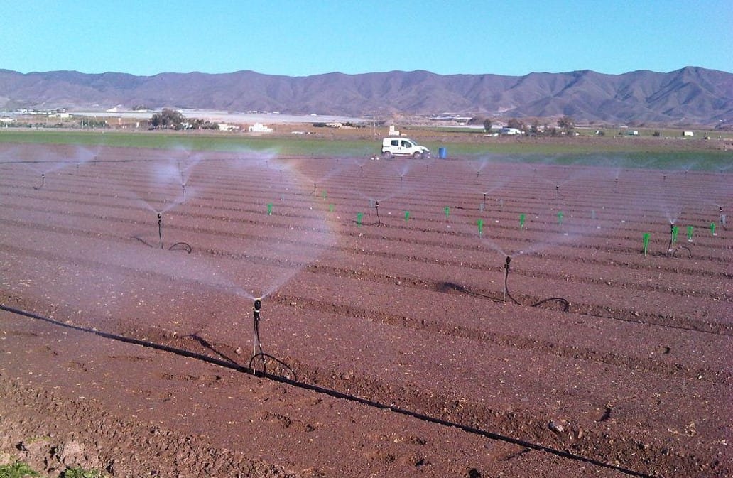 Model A: SprinKit™ MegaNet™ 10x10 PE